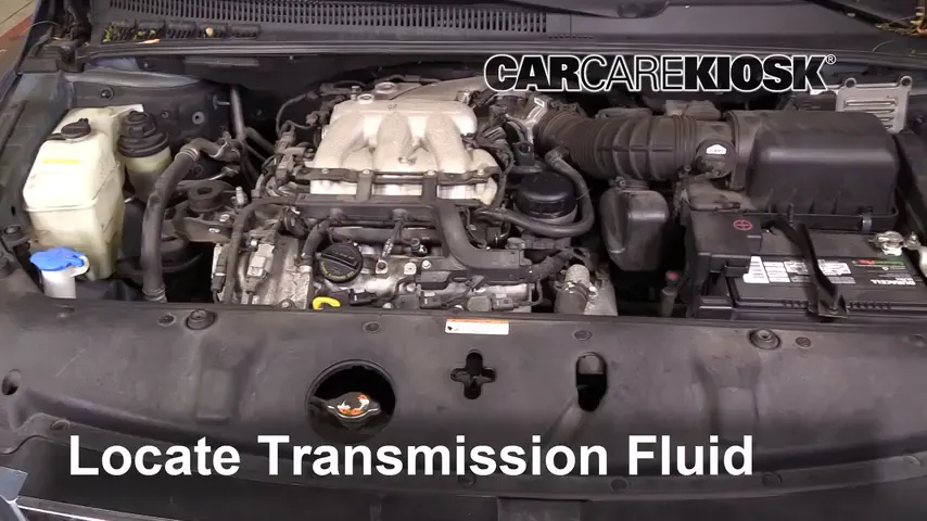 2008 Hyundai Entourage GLS 3.8L V6 Transmission Fluid